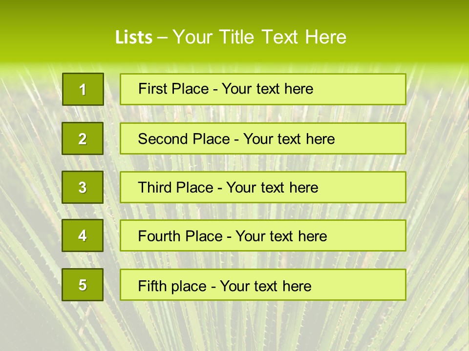 Carlsbad North Attraction PowerPoint Template
