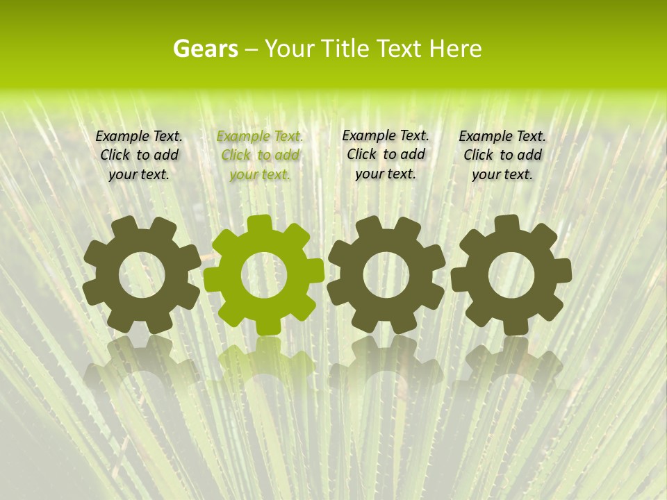 Carlsbad North Attraction PowerPoint Template