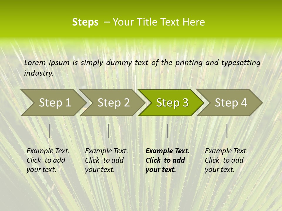 Carlsbad North Attraction PowerPoint Template