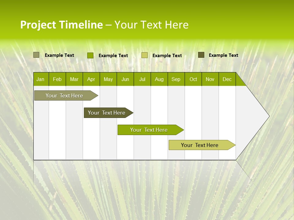 Carlsbad North Attraction PowerPoint Template