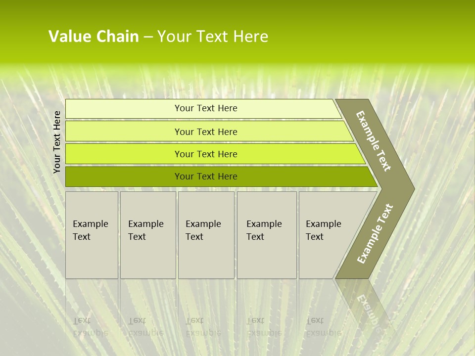 Carlsbad North Attraction PowerPoint Template