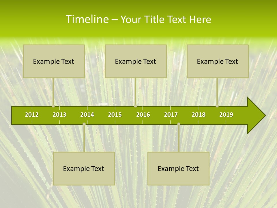 Carlsbad North Attraction PowerPoint Template