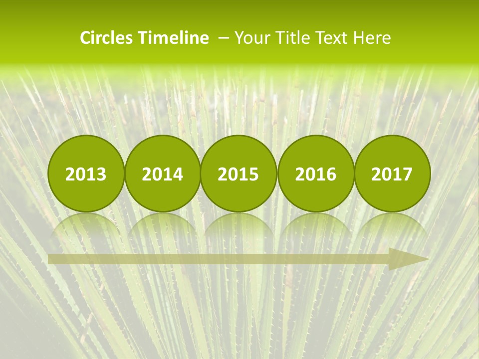 Carlsbad North Attraction PowerPoint Template