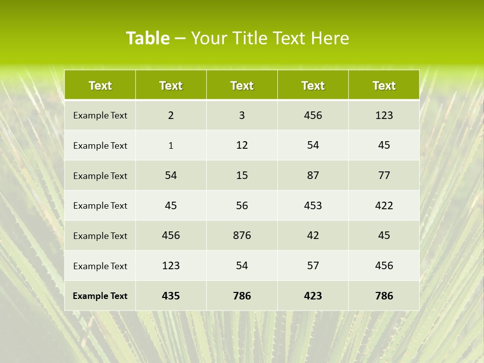 Carlsbad North Attraction PowerPoint Template