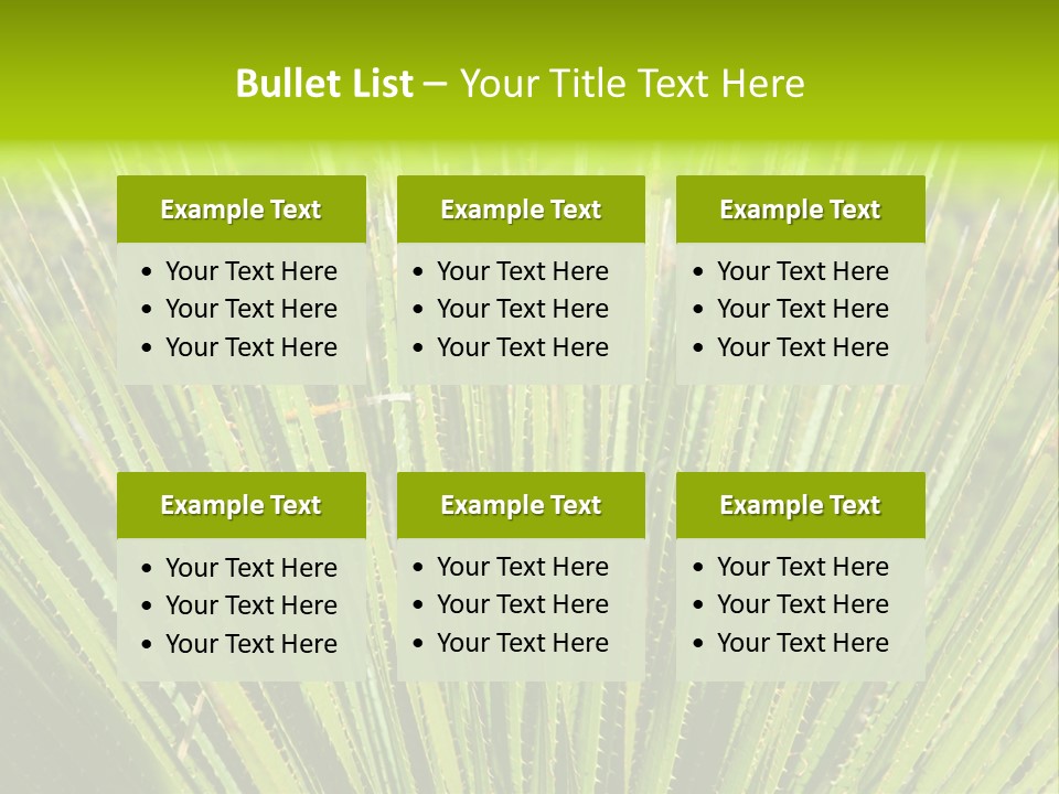 Carlsbad North Attraction PowerPoint Template