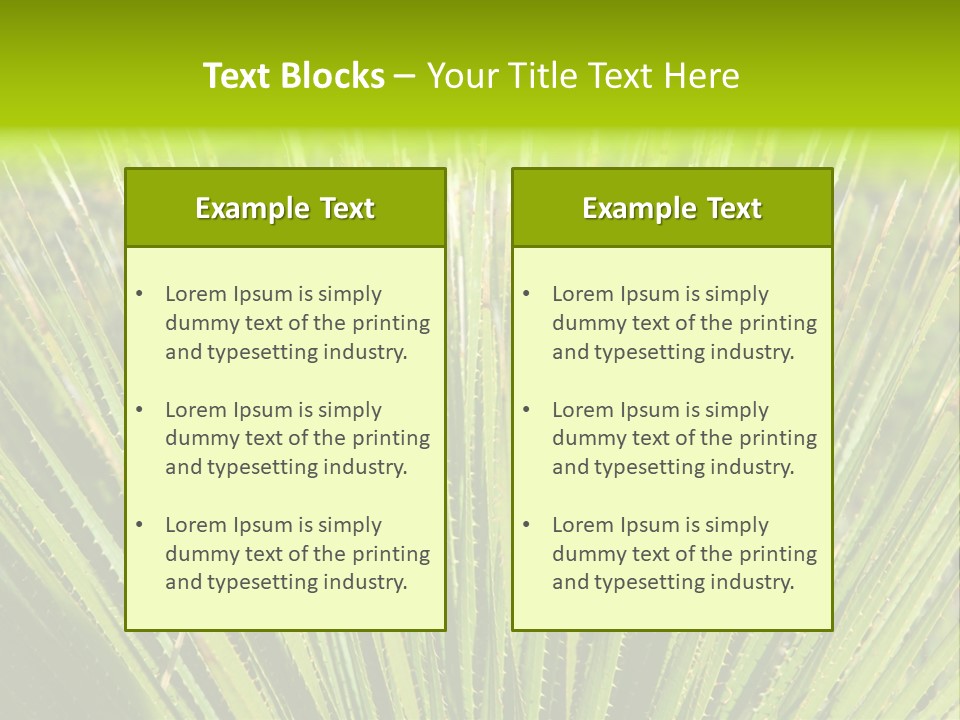 Carlsbad North Attraction PowerPoint Template