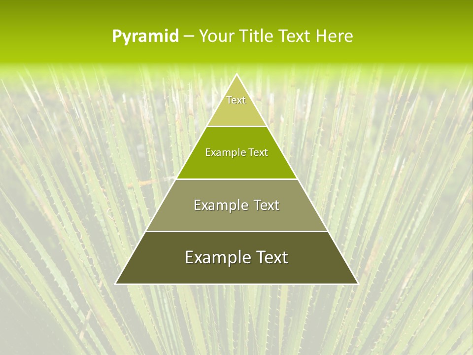 Carlsbad North Attraction PowerPoint Template