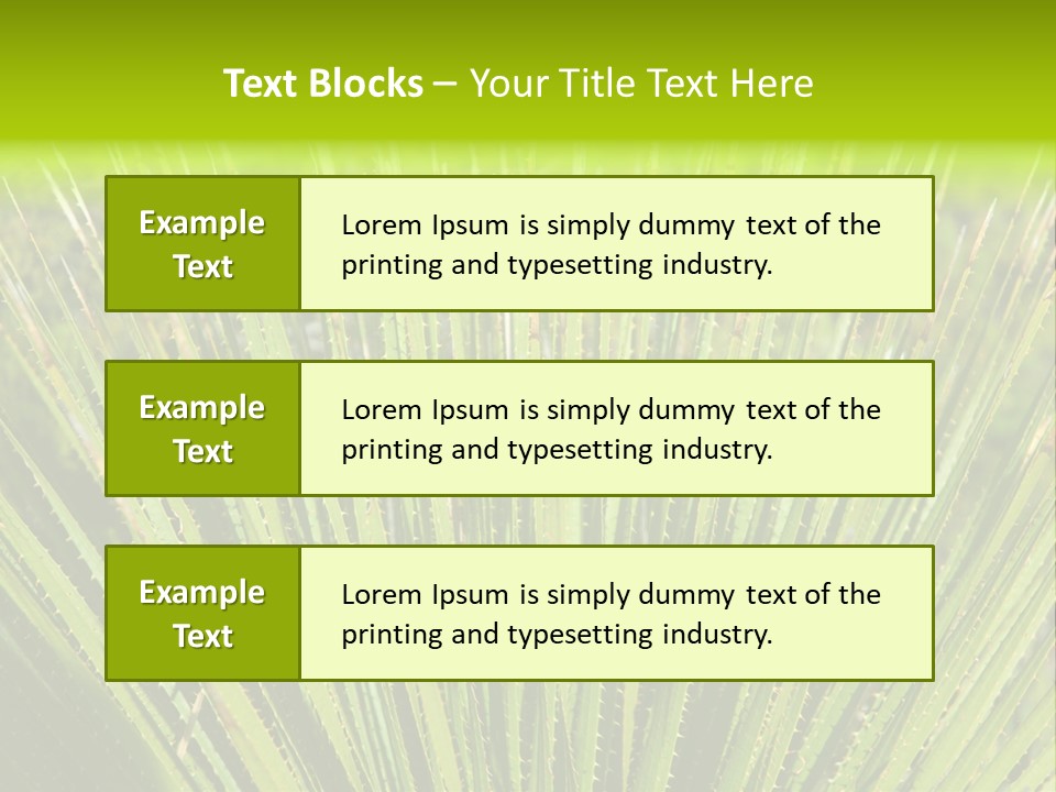 Carlsbad North Attraction PowerPoint Template