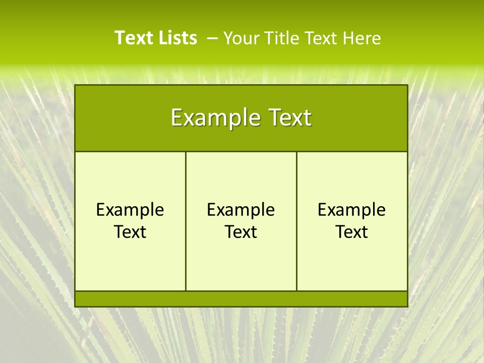 Carlsbad North Attraction PowerPoint Template