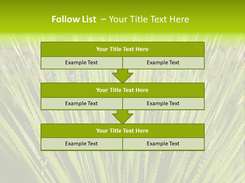 Carlsbad North Attraction PowerPoint Template