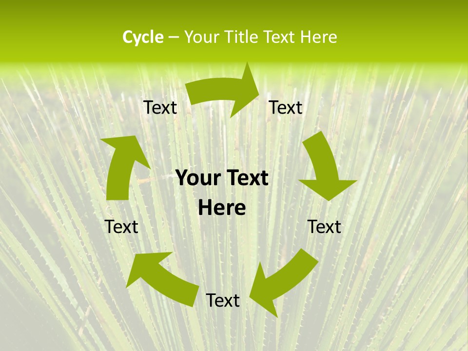 Carlsbad North Attraction PowerPoint Template