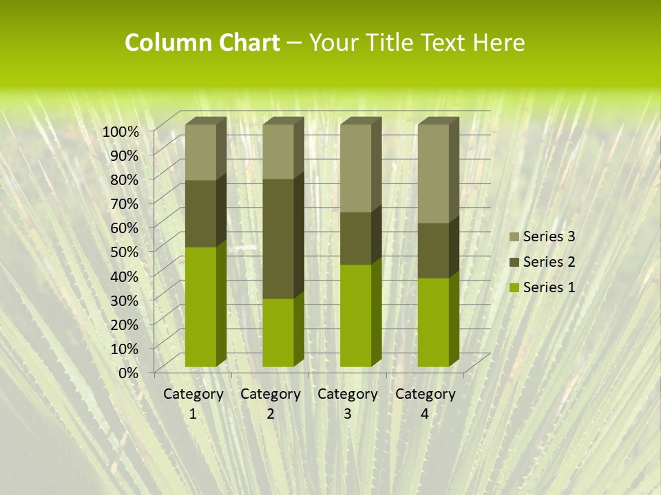 Carlsbad North Attraction PowerPoint Template