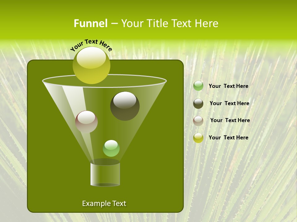 Carlsbad North Attraction PowerPoint Template