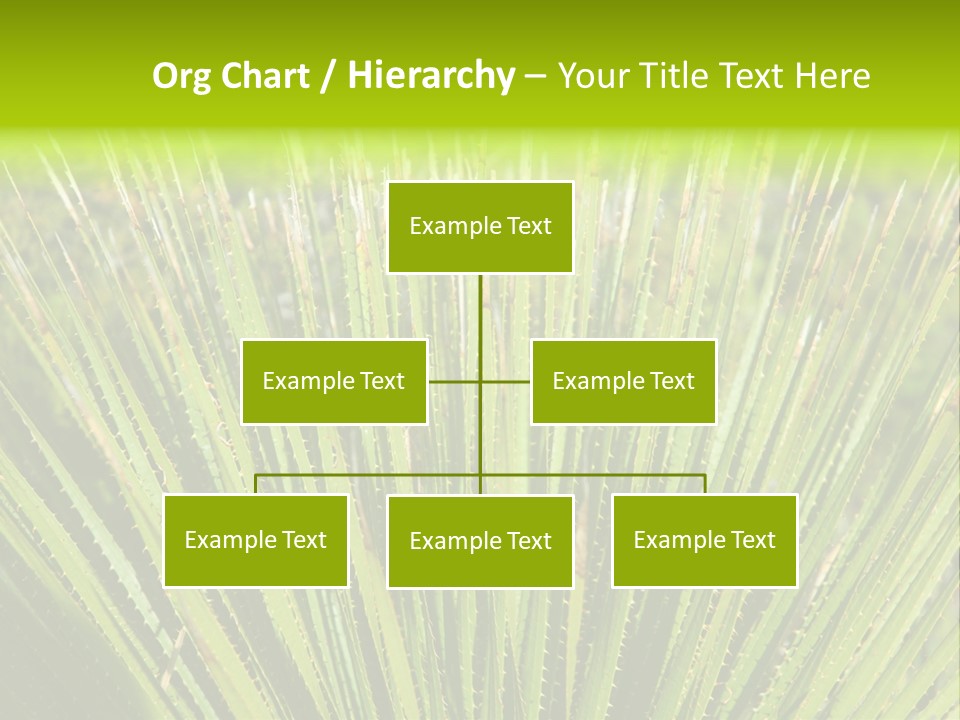 Carlsbad North Attraction PowerPoint Template