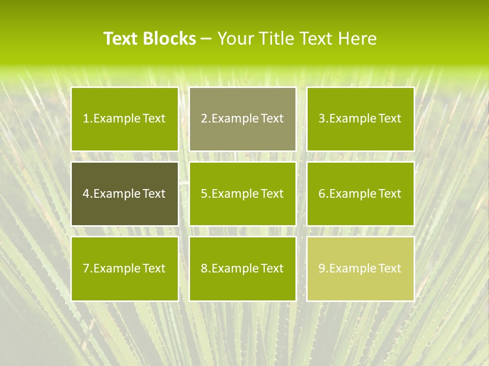 Carlsbad North Attraction PowerPoint Template