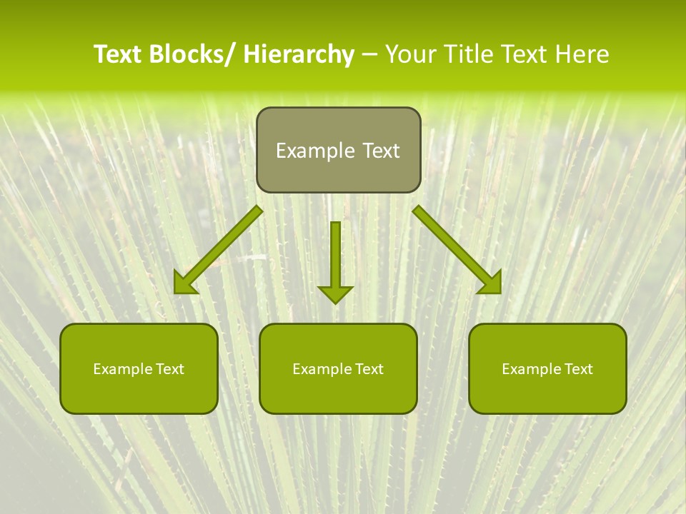 Carlsbad North Attraction PowerPoint Template