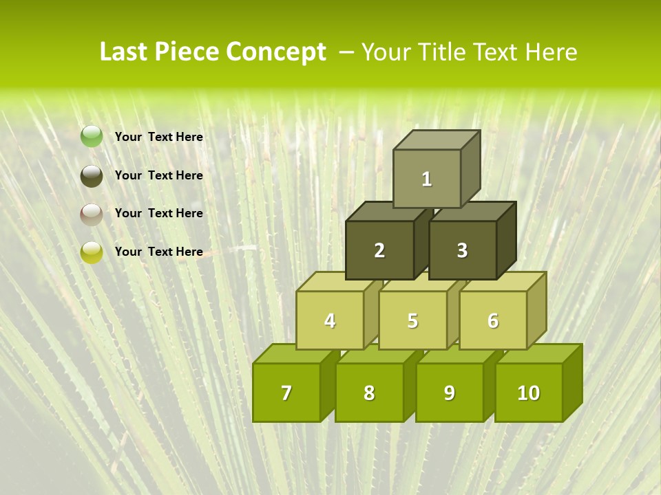 Carlsbad North Attraction PowerPoint Template