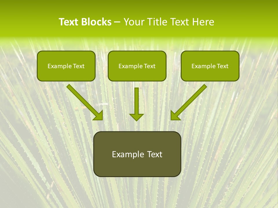 Carlsbad North Attraction PowerPoint Template