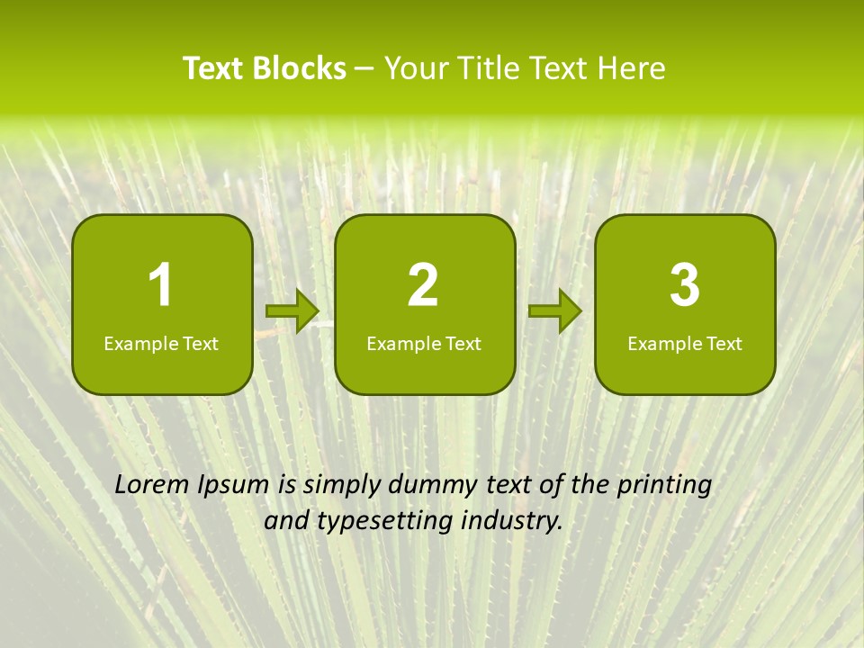 Carlsbad North Attraction PowerPoint Template