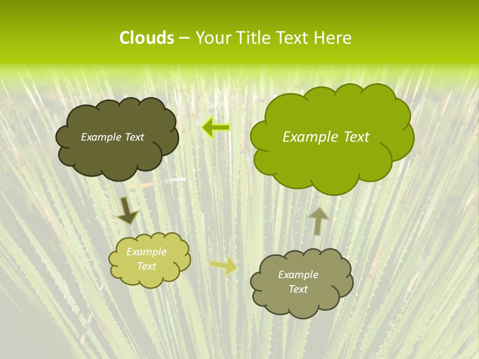Carlsbad North Attraction PowerPoint Template