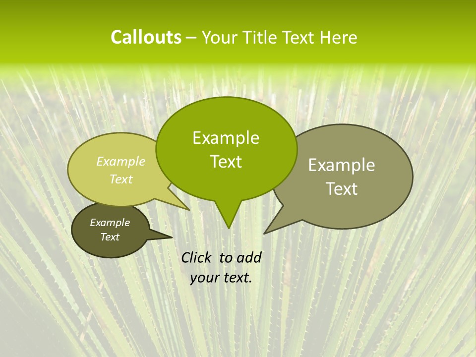 Carlsbad North Attraction PowerPoint Template