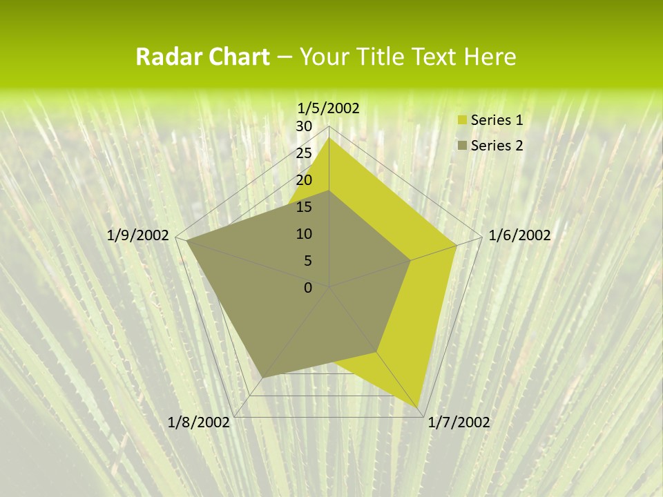 Carlsbad North Attraction PowerPoint Template