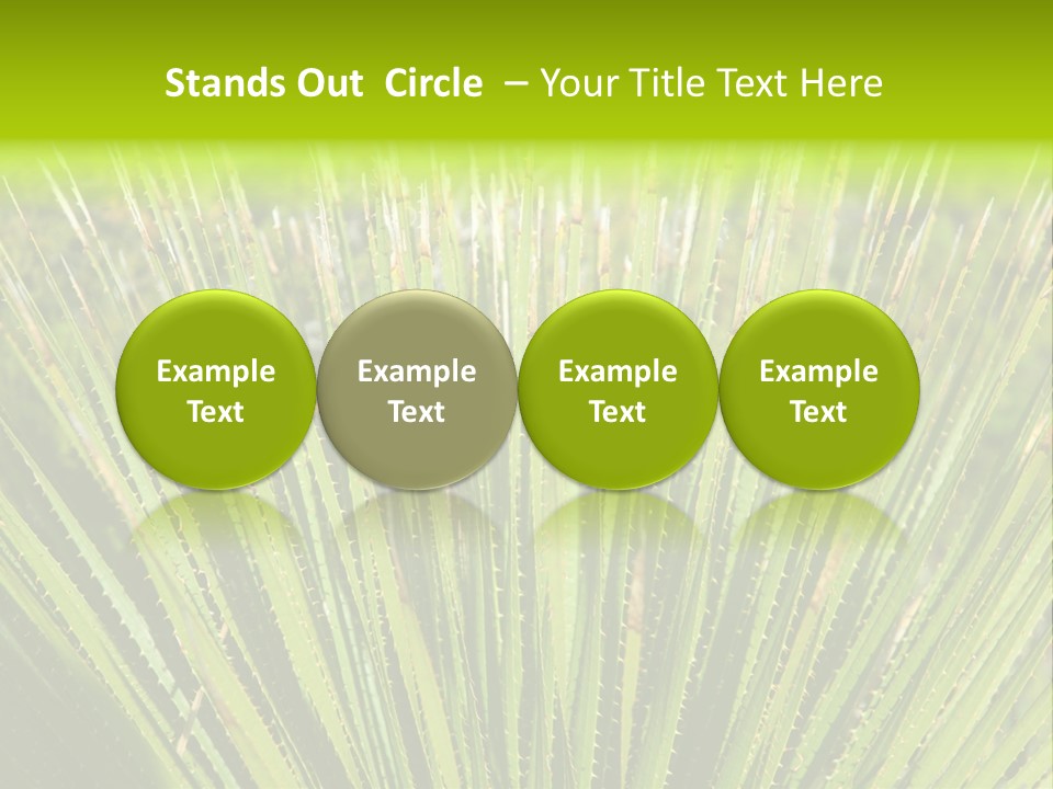 Carlsbad North Attraction PowerPoint Template