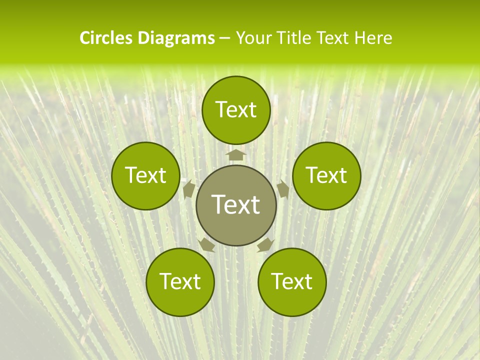 Carlsbad North Attraction PowerPoint Template