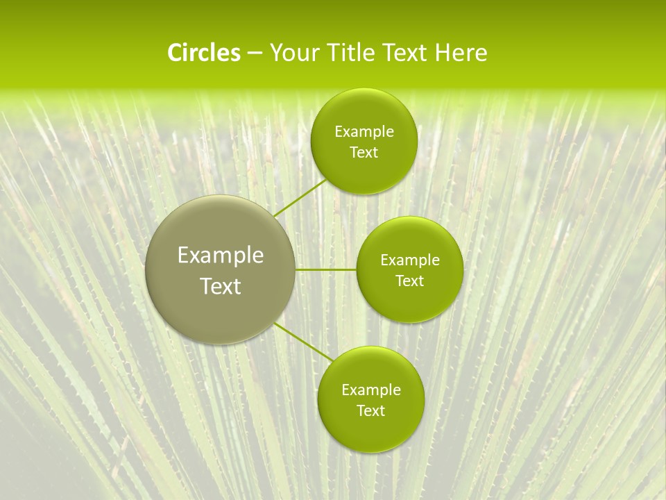 Carlsbad North Attraction PowerPoint Template