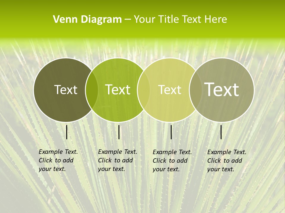 Carlsbad North Attraction PowerPoint Template