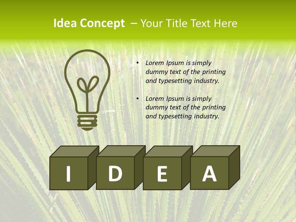 Carlsbad North Attraction PowerPoint Template