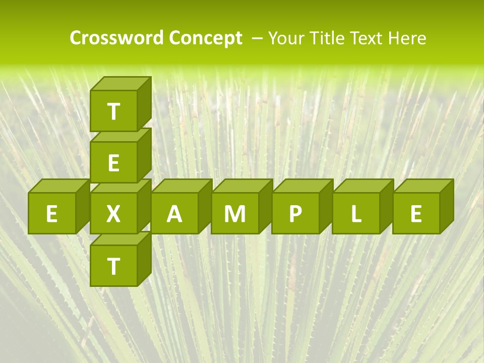 Carlsbad North Attraction PowerPoint Template