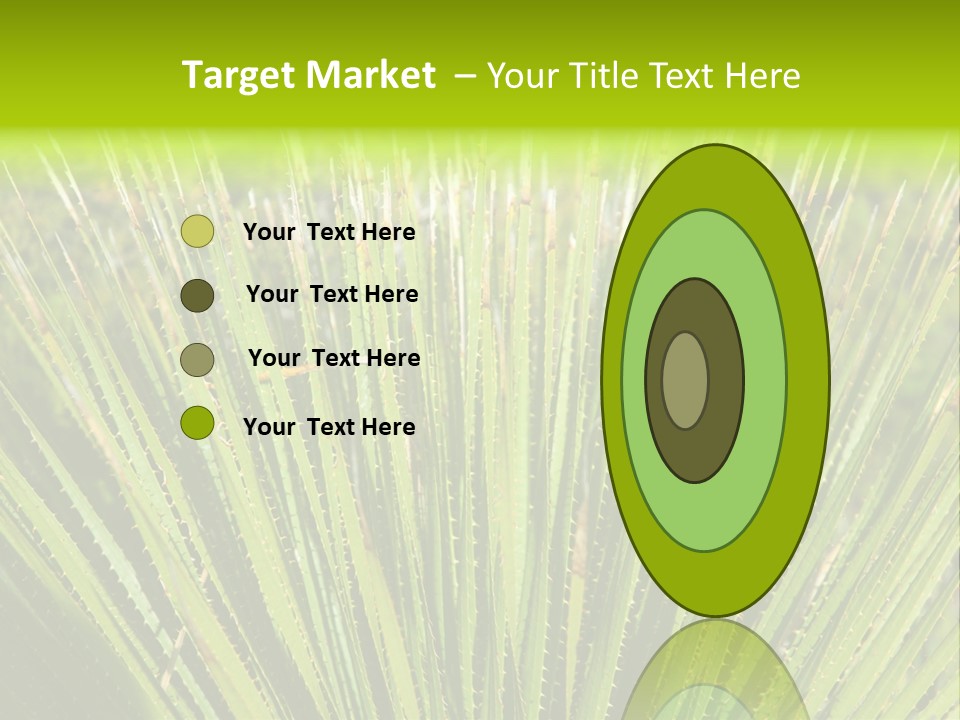 Carlsbad North Attraction PowerPoint Template