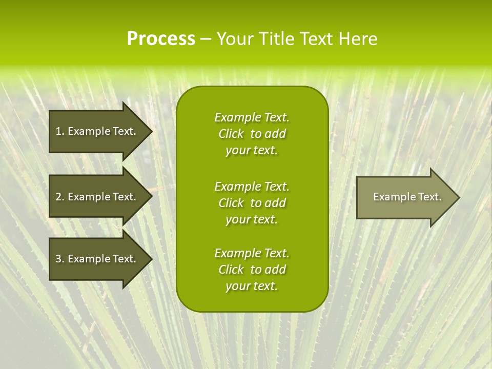 Carlsbad North Attraction PowerPoint Template