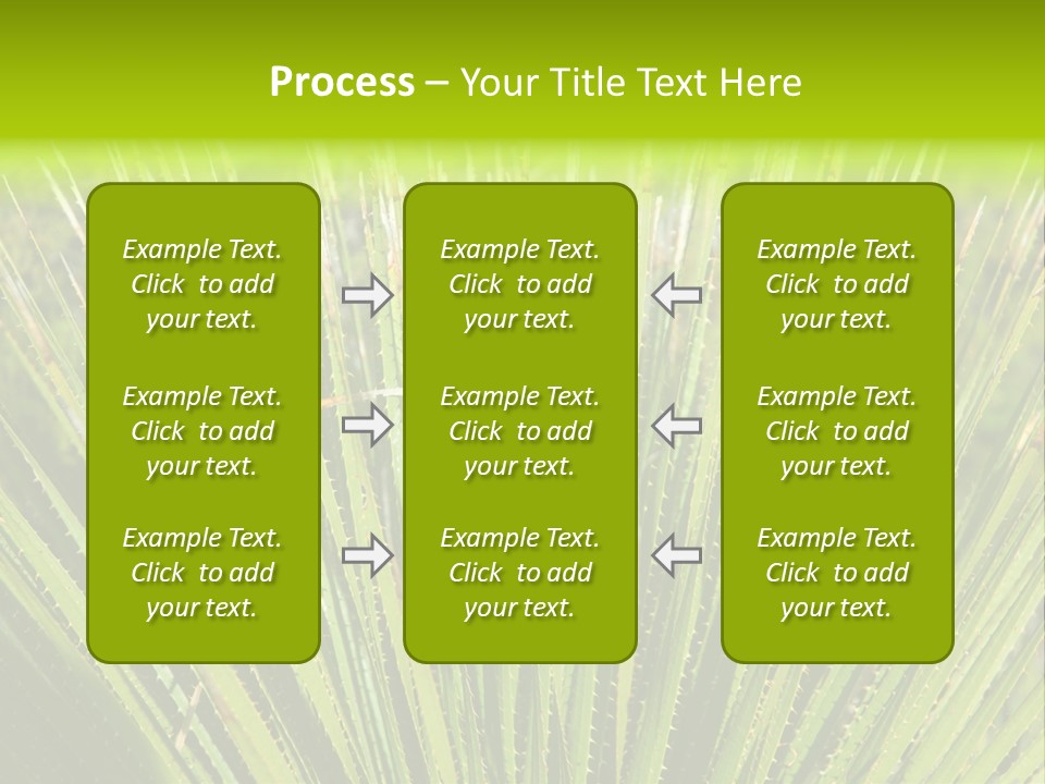 Carlsbad North Attraction PowerPoint Template