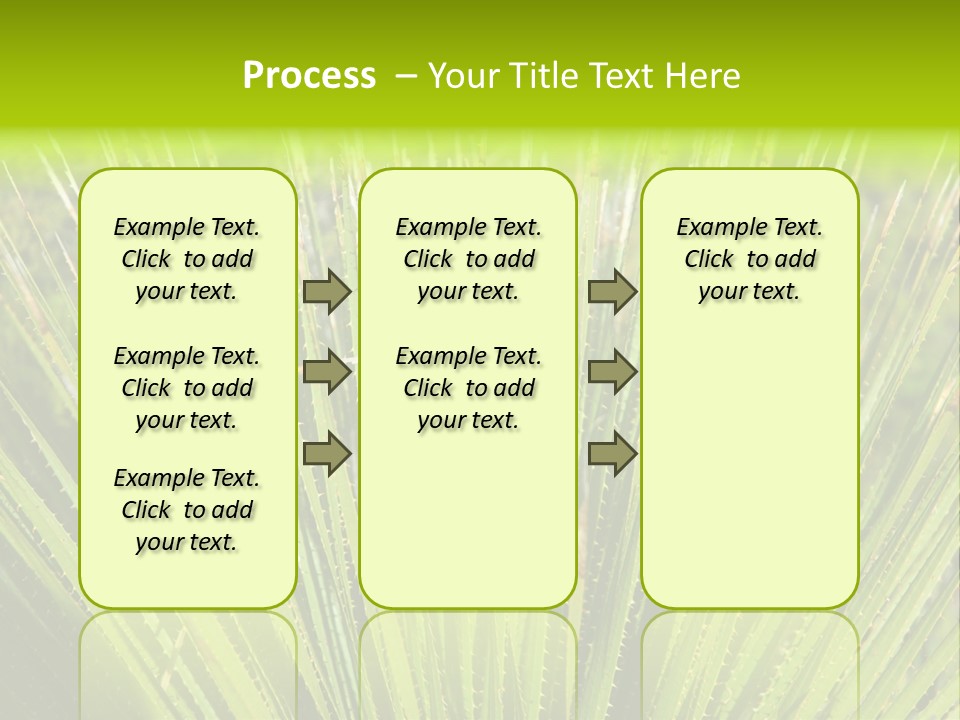 Carlsbad North Attraction PowerPoint Template