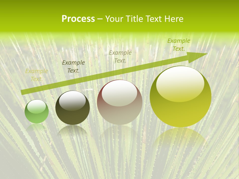 Carlsbad North Attraction PowerPoint Template