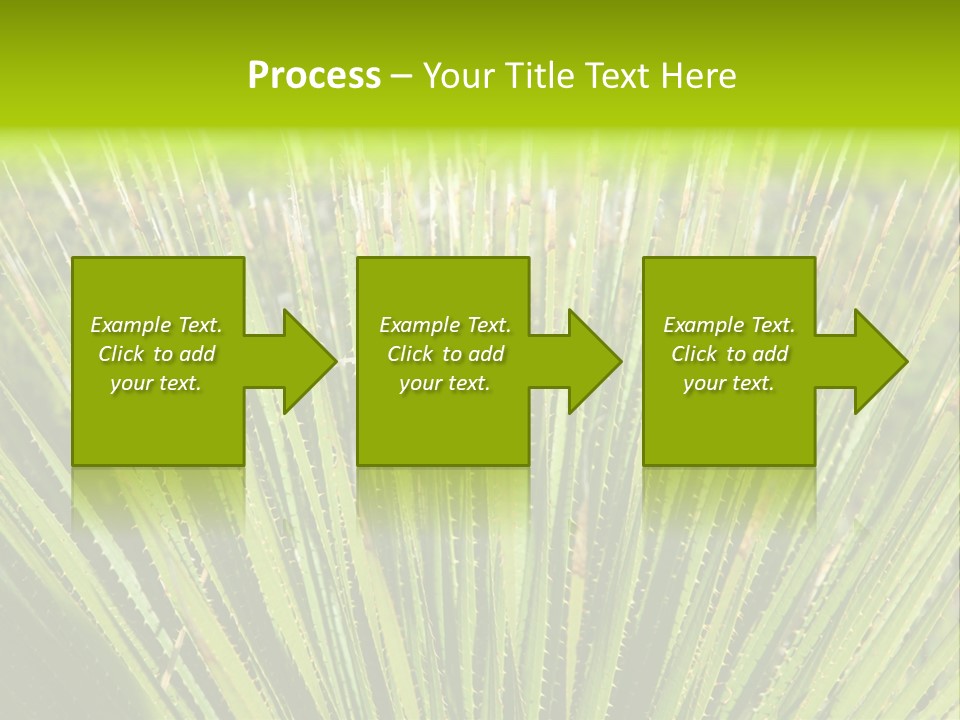 Carlsbad North Attraction PowerPoint Template
