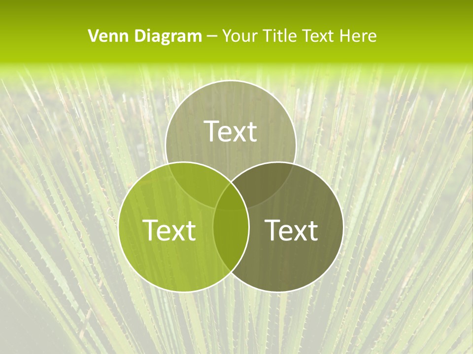 Carlsbad North Attraction PowerPoint Template