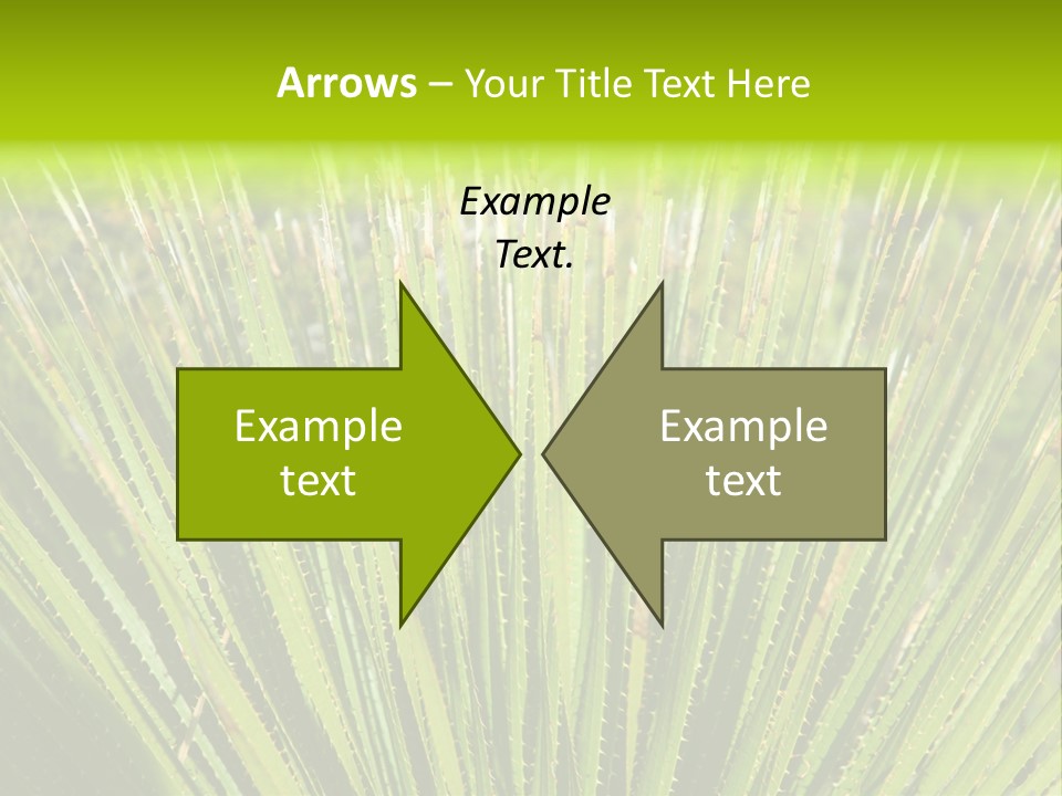 Carlsbad North Attraction PowerPoint Template