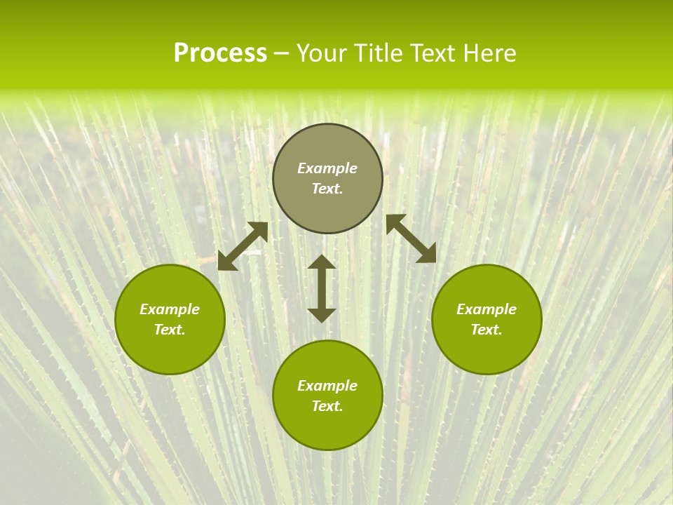 Carlsbad North Attraction PowerPoint Template