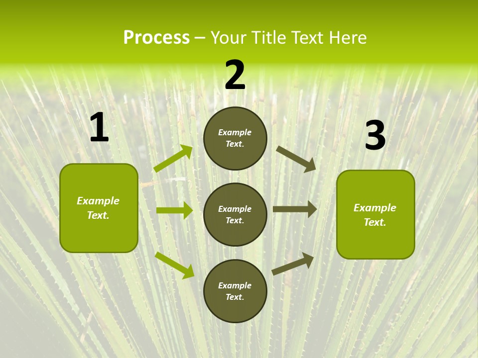 Carlsbad North Attraction PowerPoint Template