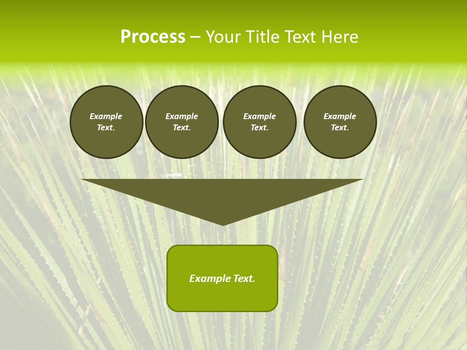 Carlsbad North Attraction PowerPoint Template