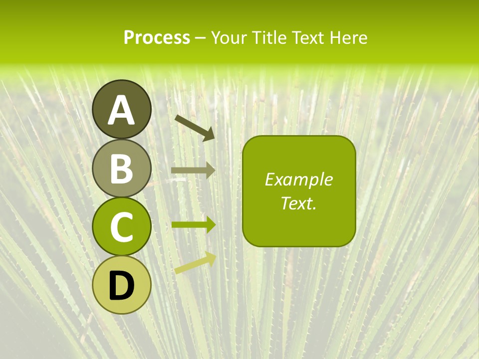 Carlsbad North Attraction PowerPoint Template