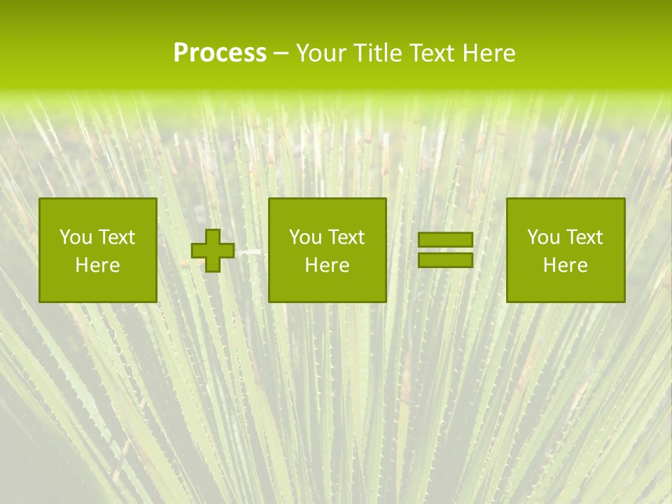 Carlsbad North Attraction PowerPoint Template