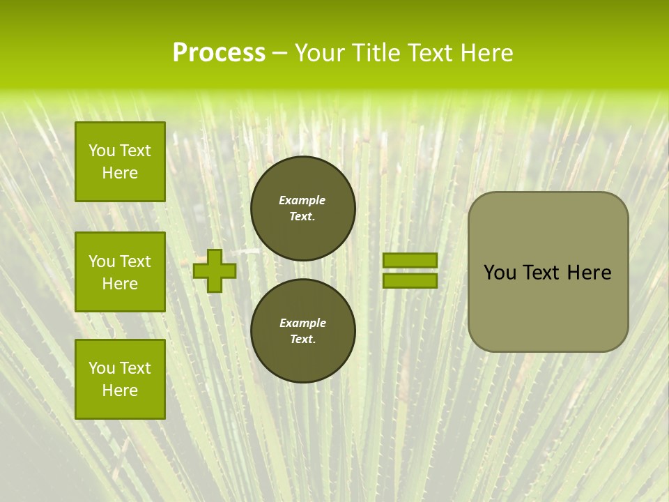 Carlsbad North Attraction PowerPoint Template