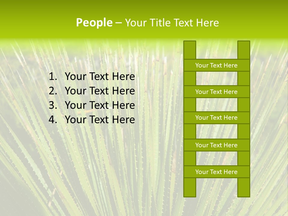 Carlsbad North Attraction PowerPoint Template