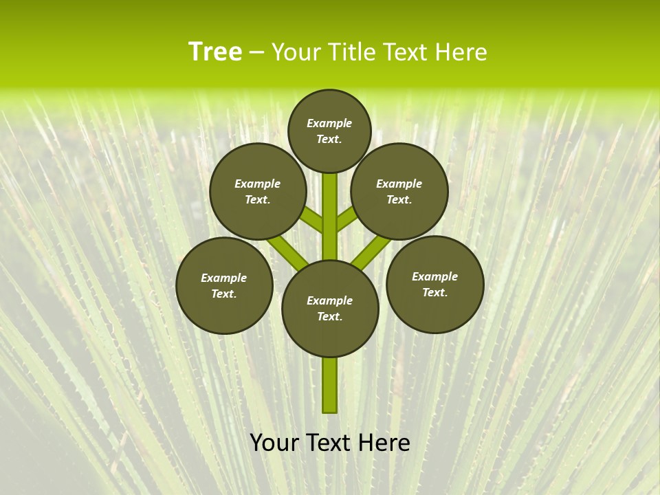 Carlsbad North Attraction PowerPoint Template