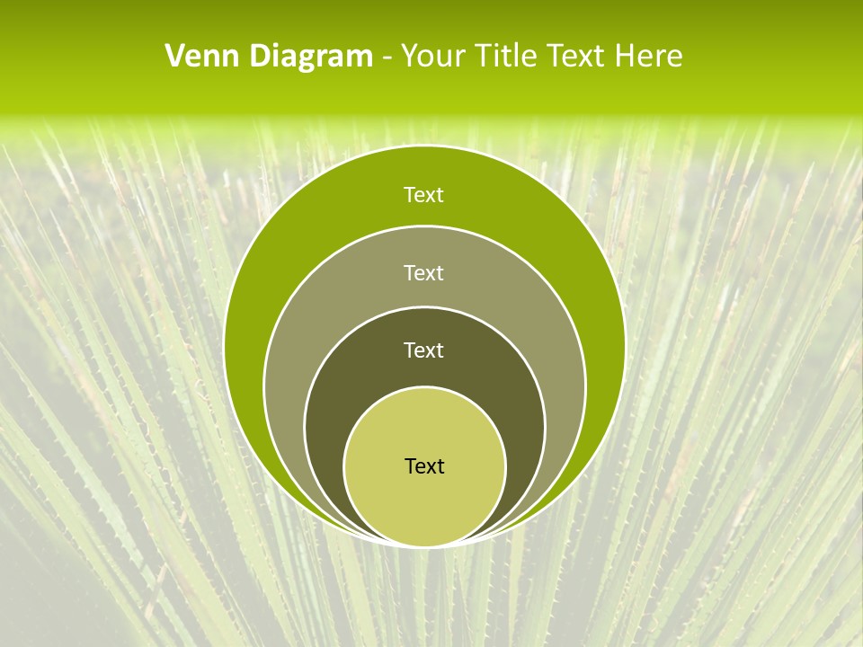 Carlsbad North Attraction PowerPoint Template