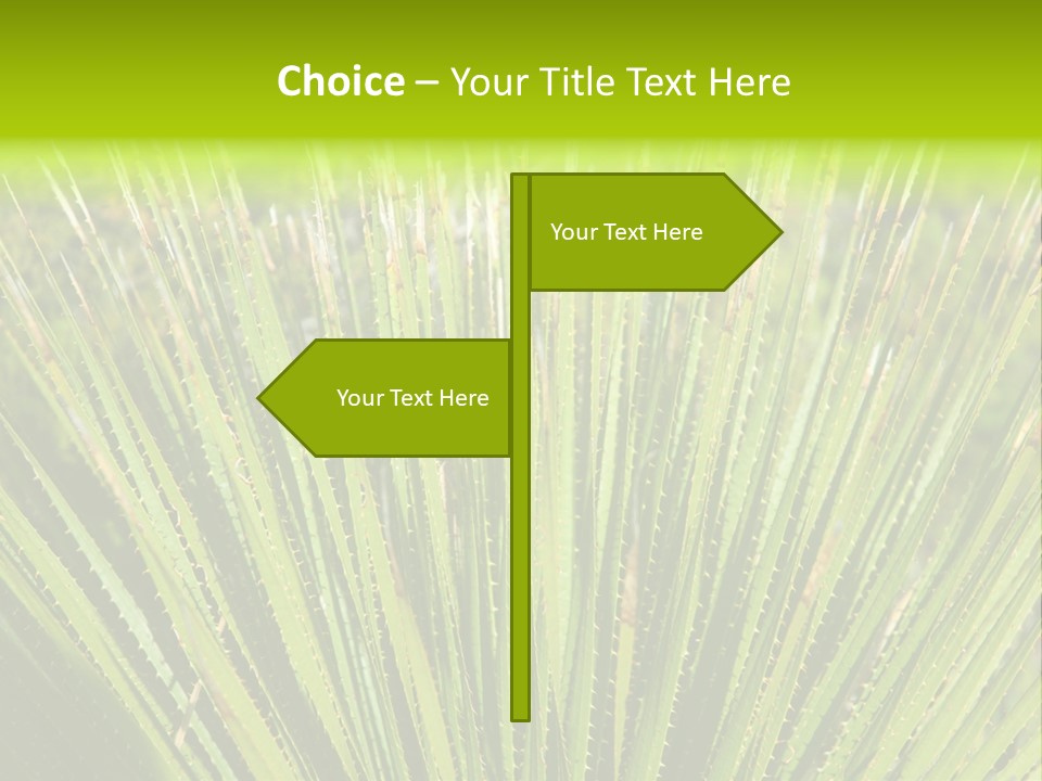 Carlsbad North Attraction PowerPoint Template